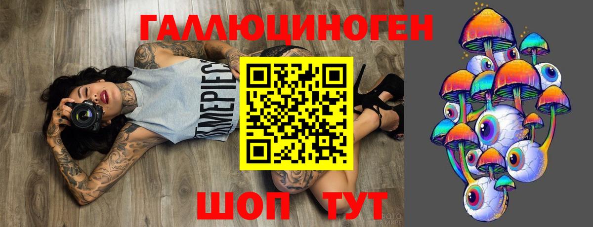 Галлюциногенные грибы Psilocybe  Вход с VPN  Павловский Посад 